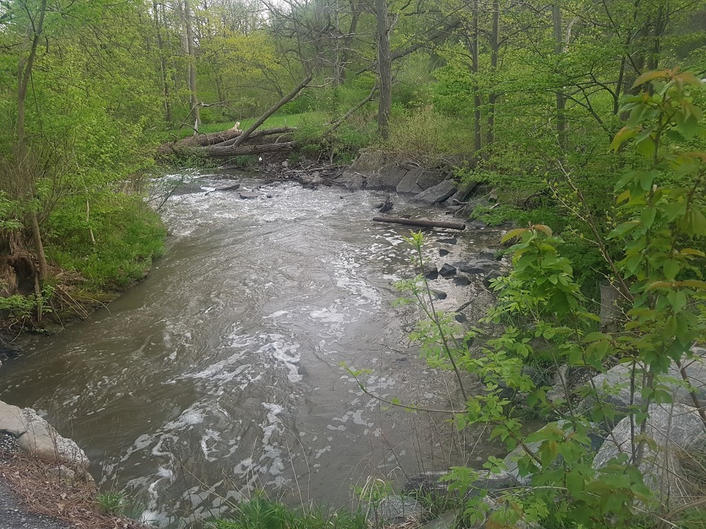 Topcliff Park | 75 Topcliff Ave, North York, ON M3N 1L6, Canada | Phone: (416) 392-2489