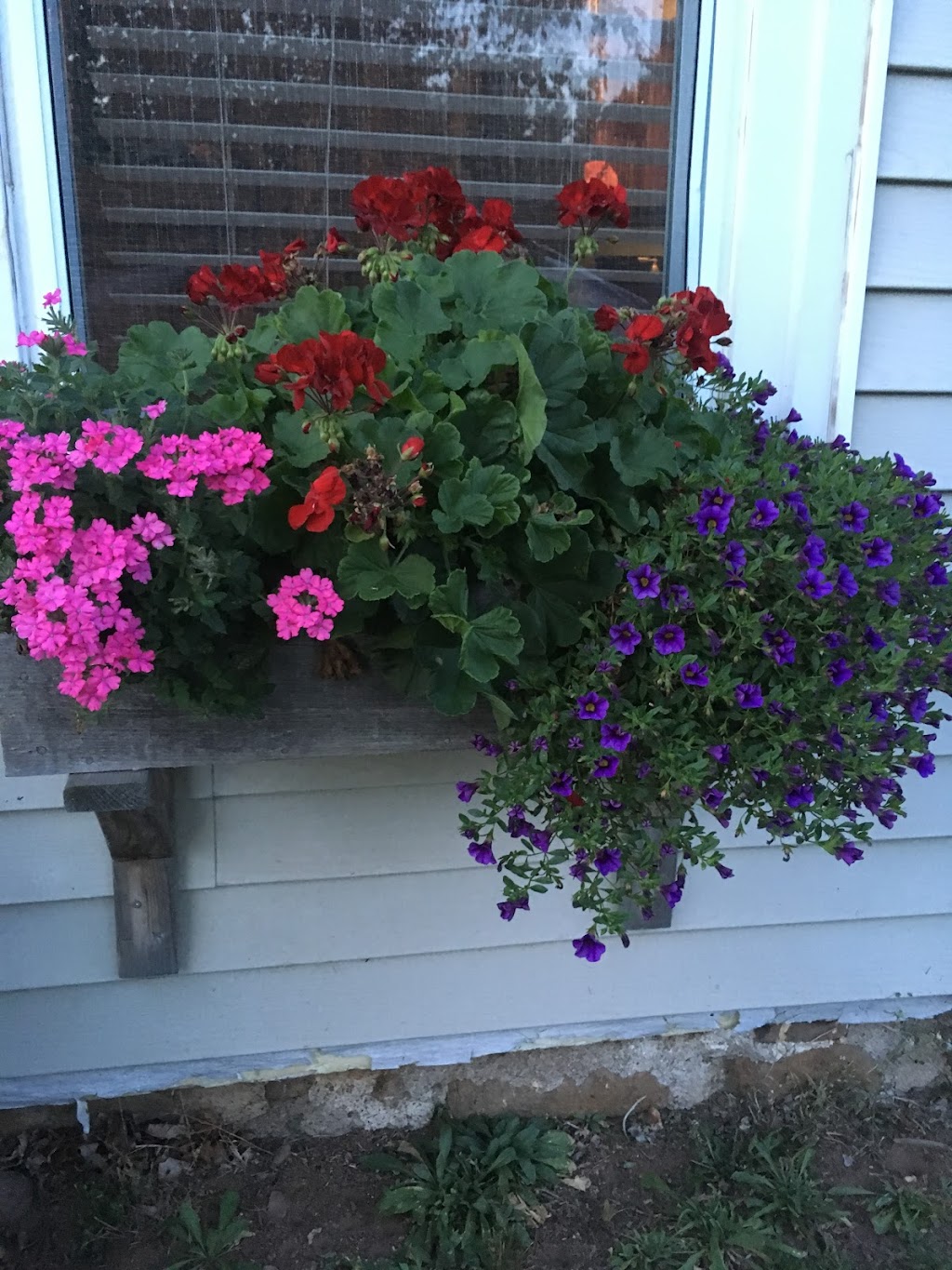 Tansy Patch Gardens | 3356 Evangeline Trail, Aylesford, NS B0P 1C0, Canada | Phone: (902) 321-1622