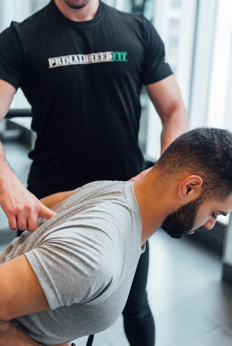 Primal Breed Fit | Personal Trainer Toronto | 11 Carlaw Ave B, Toronto, ON M4M 2R6, Canada | Phone: (647) 575-9947