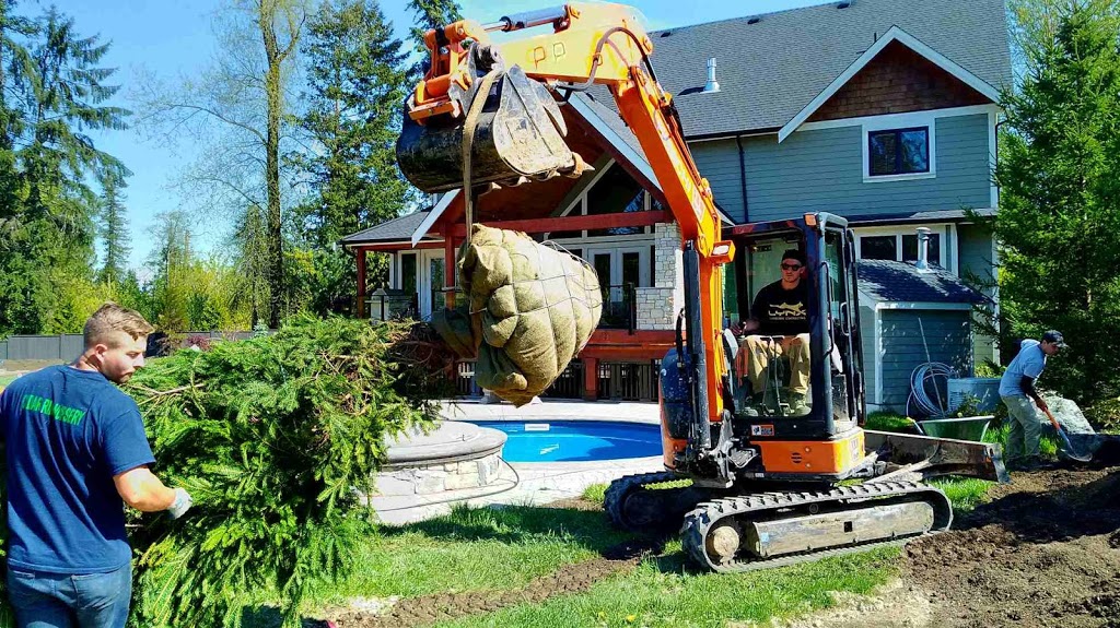 Lynx Mini Excavating - Excavation Contractor | 8258 207A St, Langley Twp, BC V2Y 0N4, Canada | Phone: (604) 818-4736
