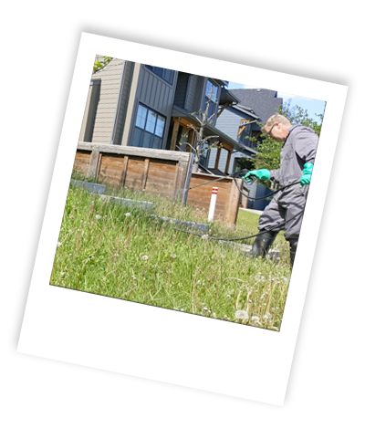 Green Guard Lawn Fertilization & Weed Control | 18380 Chaparral St SE, Calgary, AB T2X 3K9, Canada | Phone: (403) 990-0885