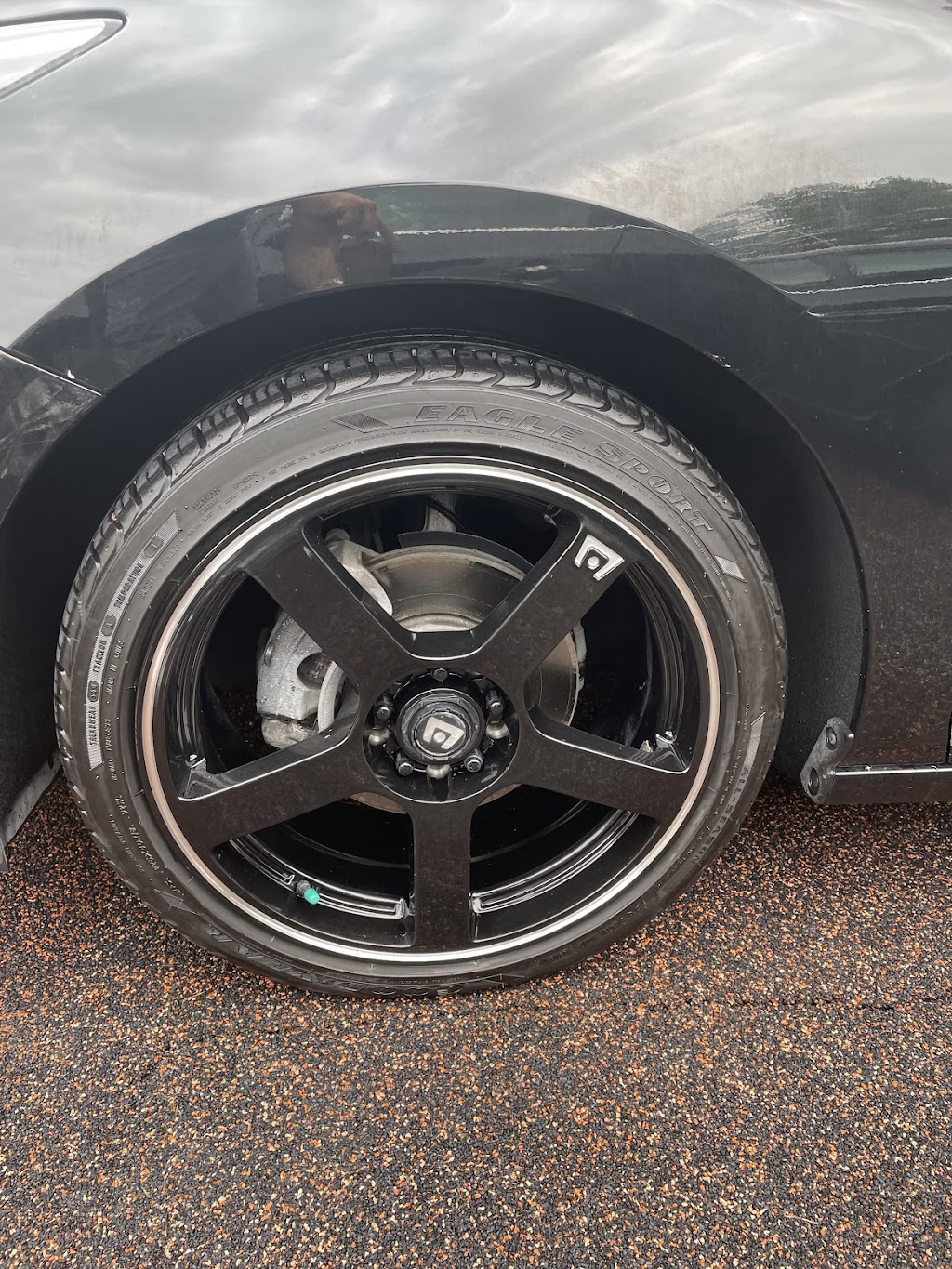 204 Customs Auto Detailing | 99 Shahi St #2208, Winnipeg, MB R3Y 1Z8, Canada | Phone: (647) 877-9896