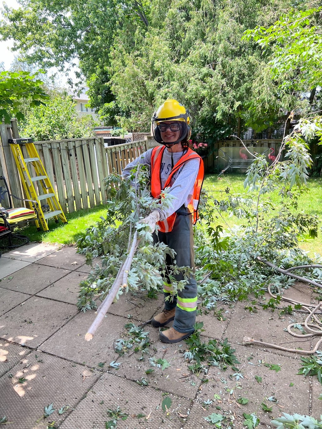 Anderstone Tree Service | 16656 Mississauga Rd, Terra Cotta, ON L7K 1L9, Canada | Phone: (416) 476-4269