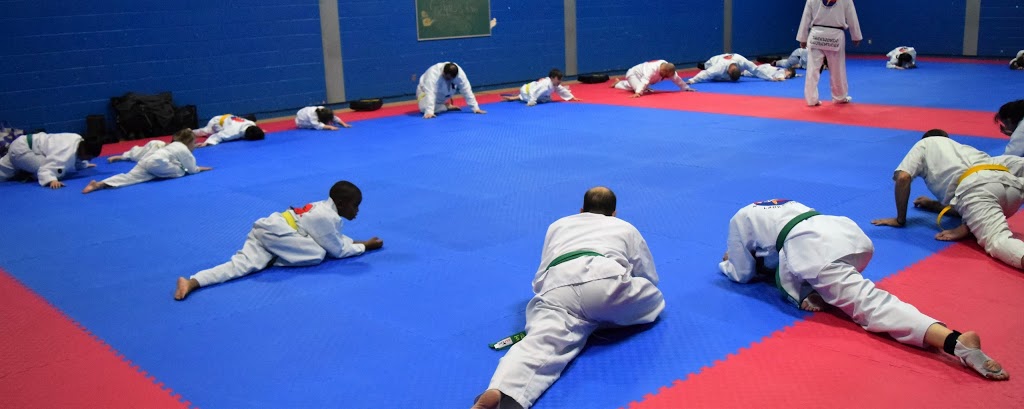 Taekwondo Laurentides | 1475 Rue Normand, Saint-Jérôme, QC J5L 2B6, Canada | Phone: (450) 971-3177