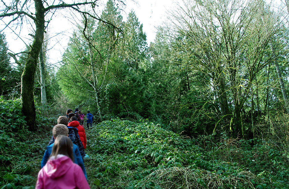 Meadowridge School | 12224 240 St, Maple Ridge, BC V4R 1N1, Canada | Phone: (604) 467-4444