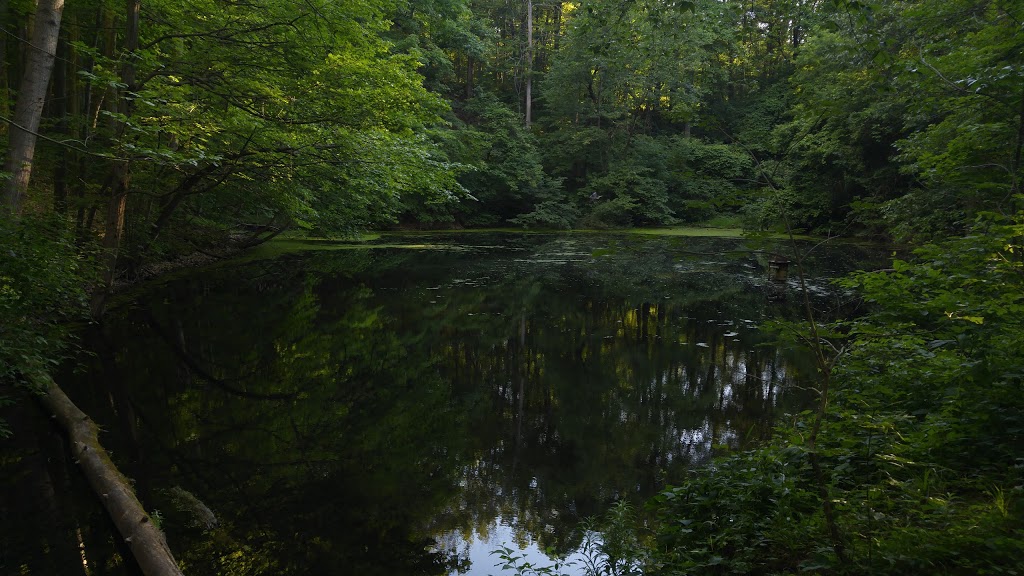 Lathrop Nature Preserve | Fonthill, Pelham, ON L0S 1E3, Canada