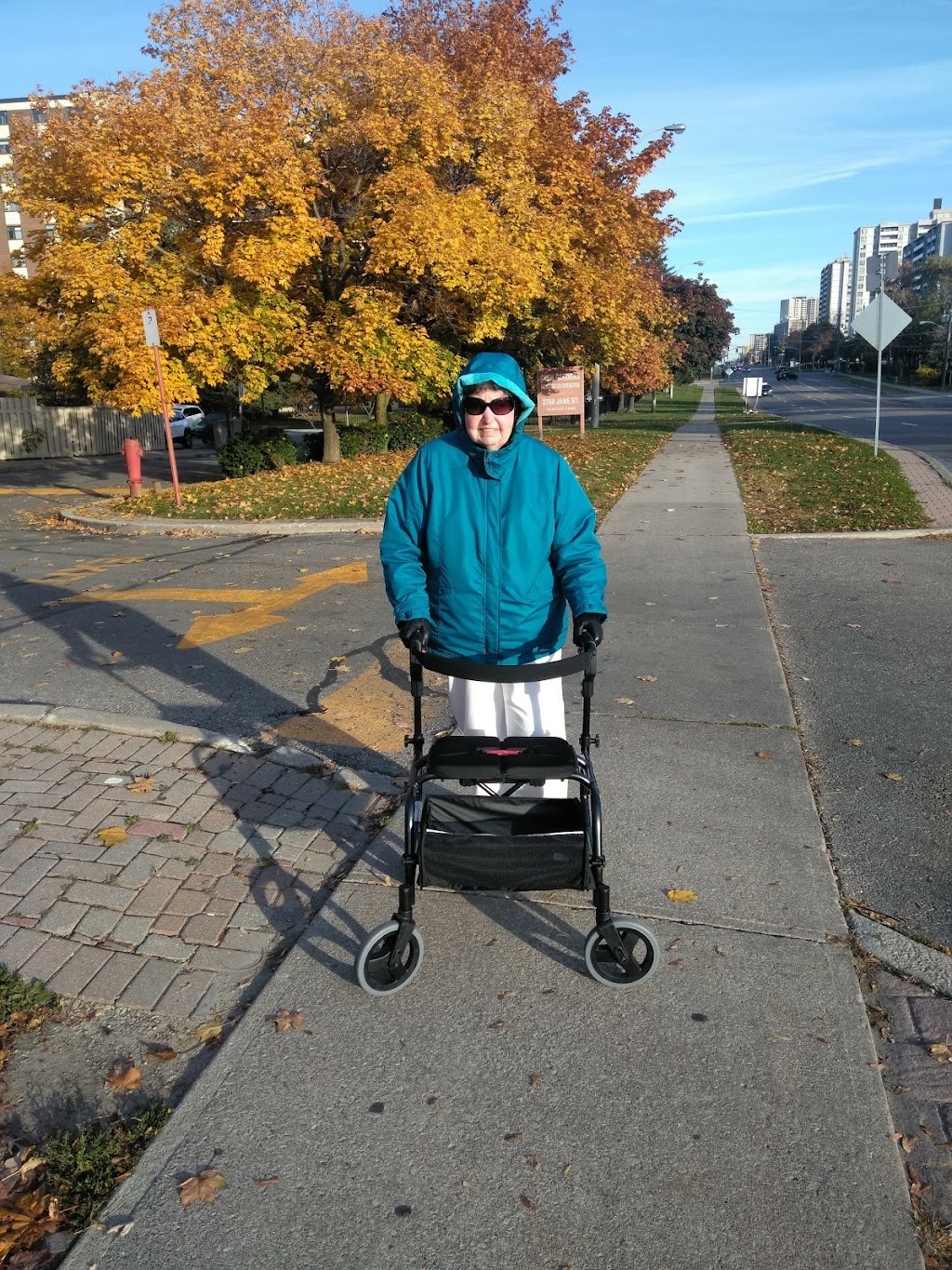 Domenico DiLuca Community Recreation Centre | Stanley Park, 25 Stanley Rd, North York, ON M3N 1C2, Canada | Phone: (416) 395-6673