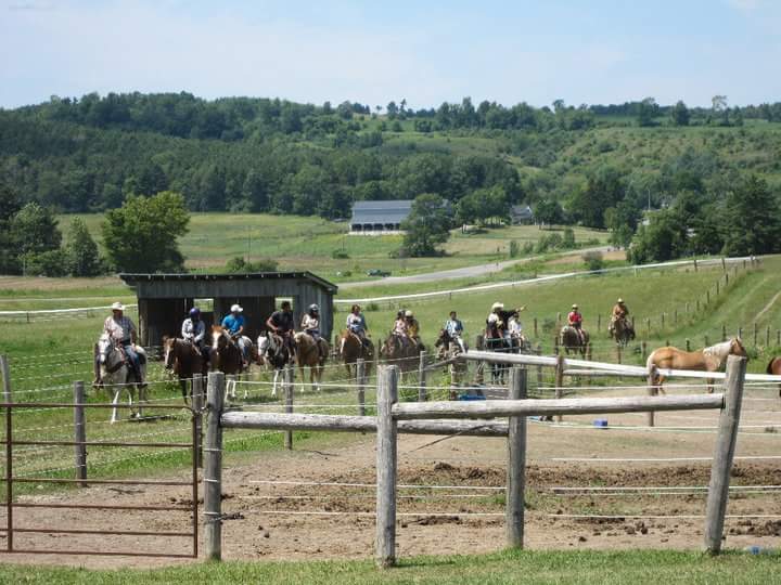 Maple Crescent Farm | 9741 County Rd 10, Campbellcroft, ON L0A 1B0, Canada | Phone: (905) 797-2598