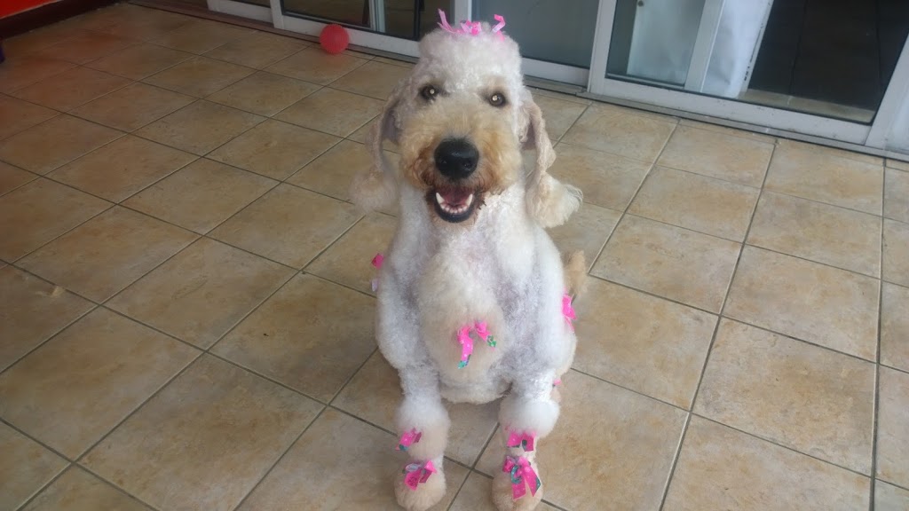 Pawrific Spa | 2895 Bank St, Gloucester, ON K1T 1N2, Canada | Phone: (613) 224-3644