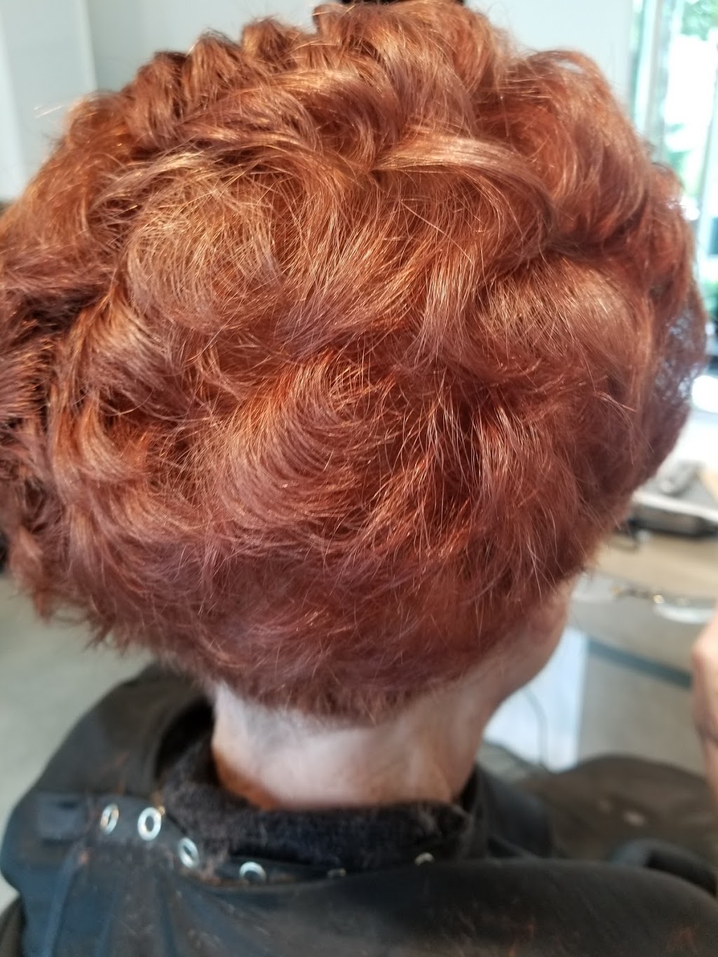 Louies Hair Design | 6351 Cambie St, Vancouver, BC V5Z 0G7, Canada | Phone: (604) 649-8457