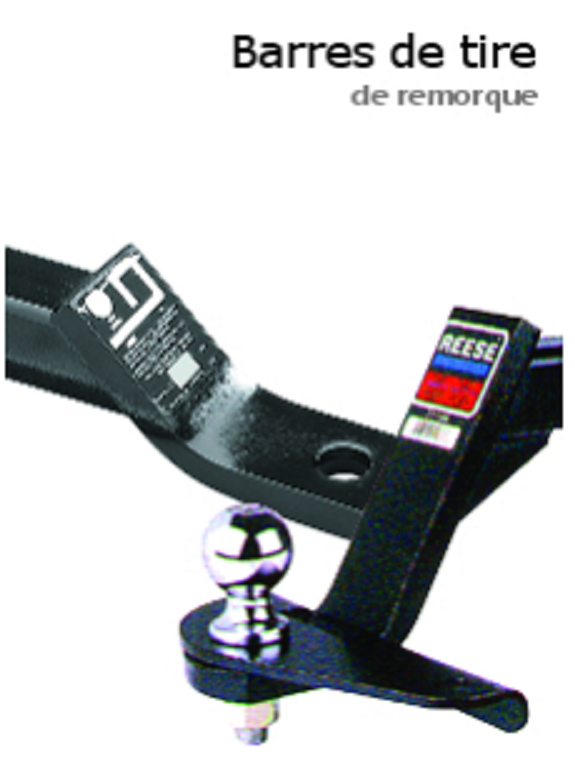 Docteur du Pare-Brise | 599 Côte Joyeuse, Saint-Raymond, QC G3L 4B2, Canada | Phone: (418) 337-8855