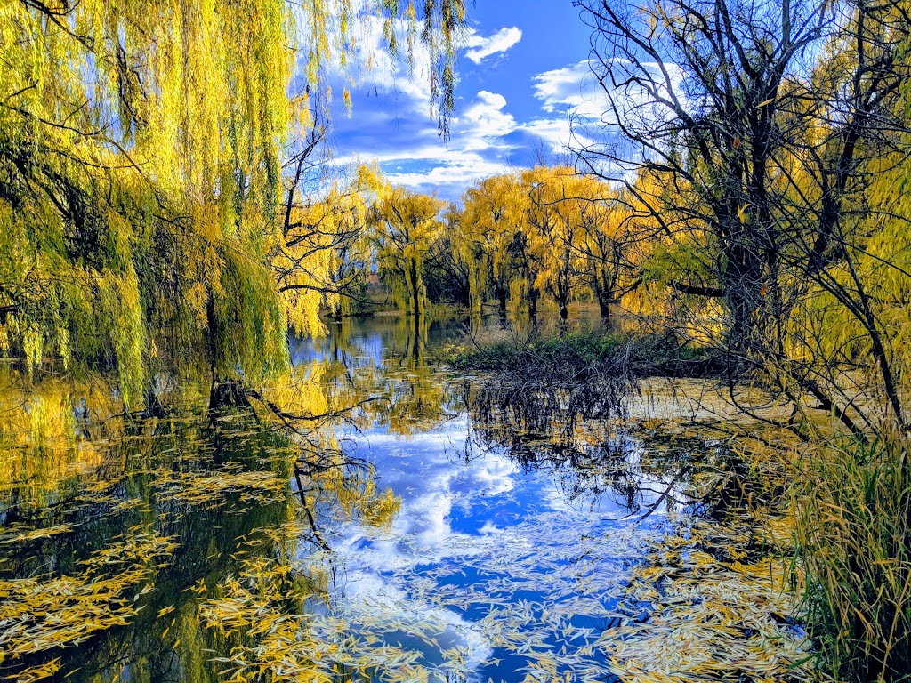 Chichester Wetland Park | 250 Sumac Rd W, Kelowna, BC V1X 6W8, Canada