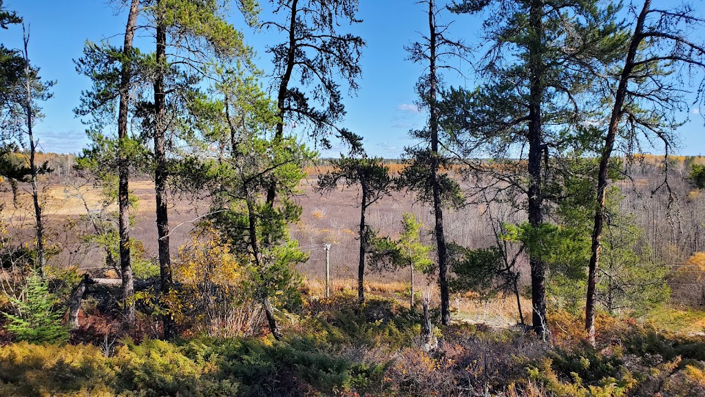 Amisk Self-guiding Trail | MB-307, Manitoba R0E 1R0, Canada | Phone: (204) 369-3157