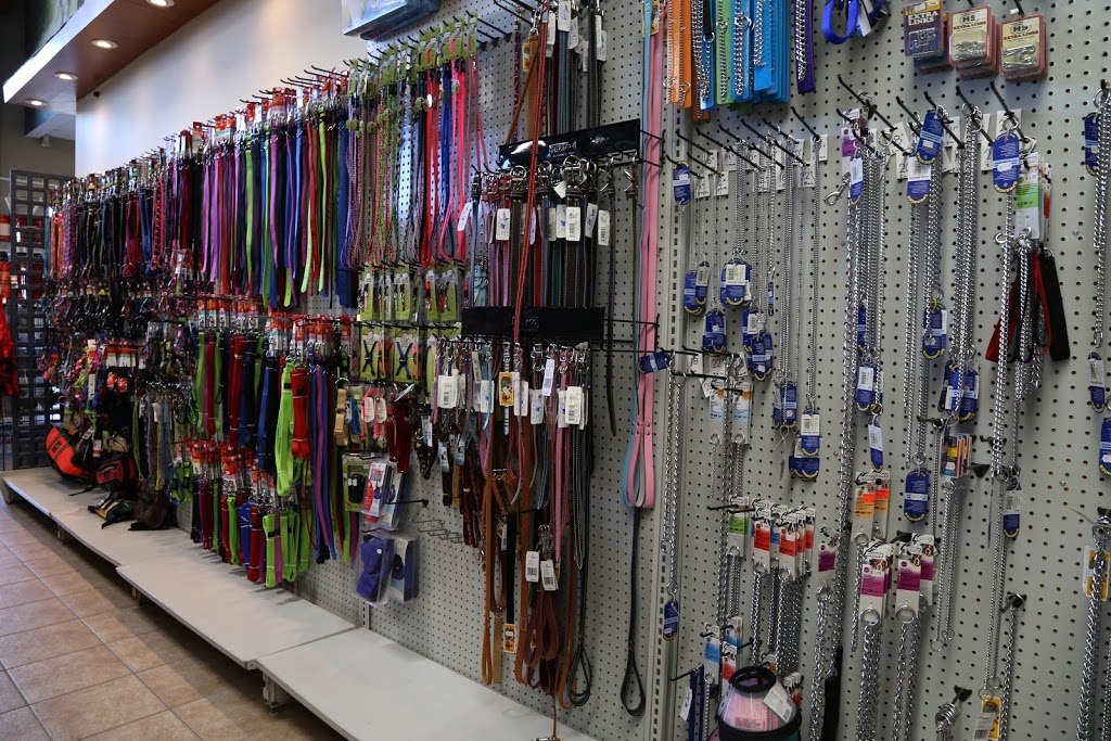 Animalerie Chico | 5965 Boulevard Jean-XXIII, Trois-Rivières, QC G8Z 4N8, Canada | Phone: (819) 374-6464