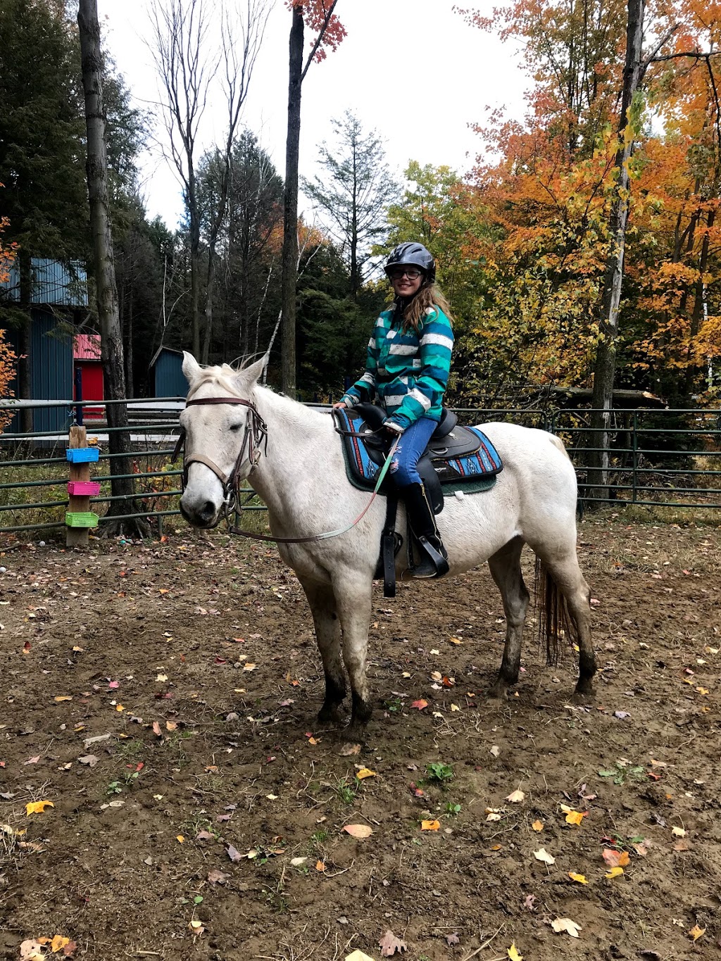 Ranch Des Petits Amis Inc (Le) | 273 Rue Edgar, Sainte-Hélène-de-Bagot, QC J0H 1M0, Canada | Phone: (450) 791-2239