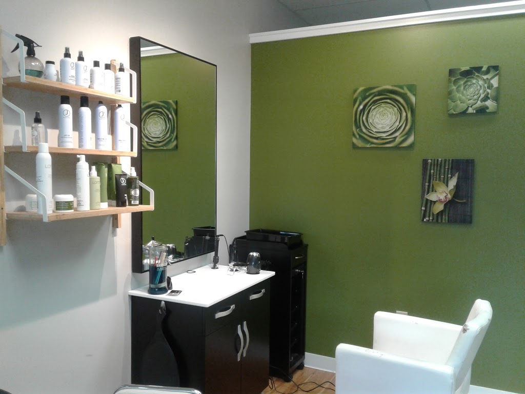 Studio 12 Salon | hair care | 5452 US-5, Newport, VT 05855, USA | 8023342012 OR +1 802-334-2012