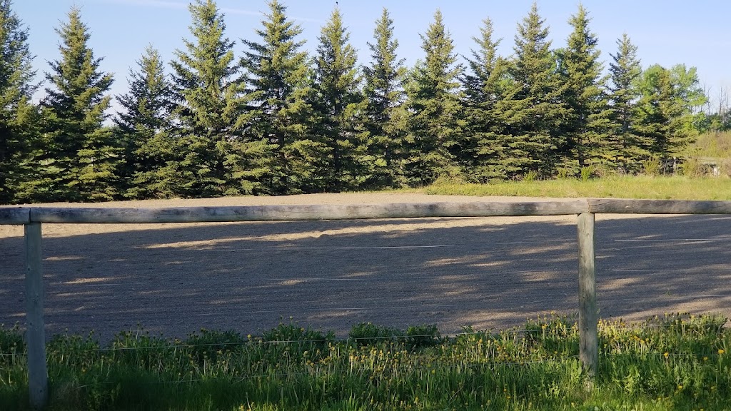 El Rancho Pequeno Canada Inc. - Horse and Tree Farm | 32469 RR40 32469 RR40, Olds, AB T4H 1P3, Canada | Phone: (403) 493-4759