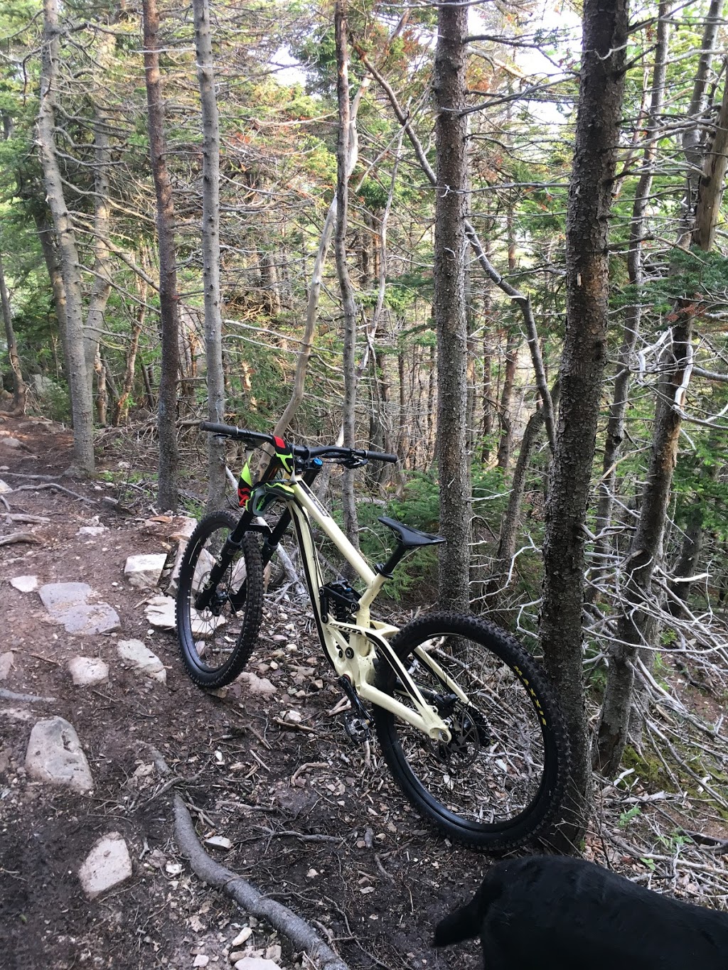 Freeride Mountain Sports | 153 Water St, St. Johns, NL A1C 1B1, Canada | Phone: (709) 722-7433