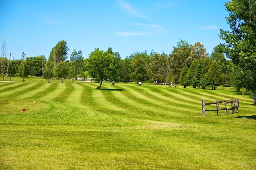Deer Run Golf Course and Bar & Grill | 10 Brook St, Little Britain, ON K0M 2C0, Canada | Phone: (705) 328-3781