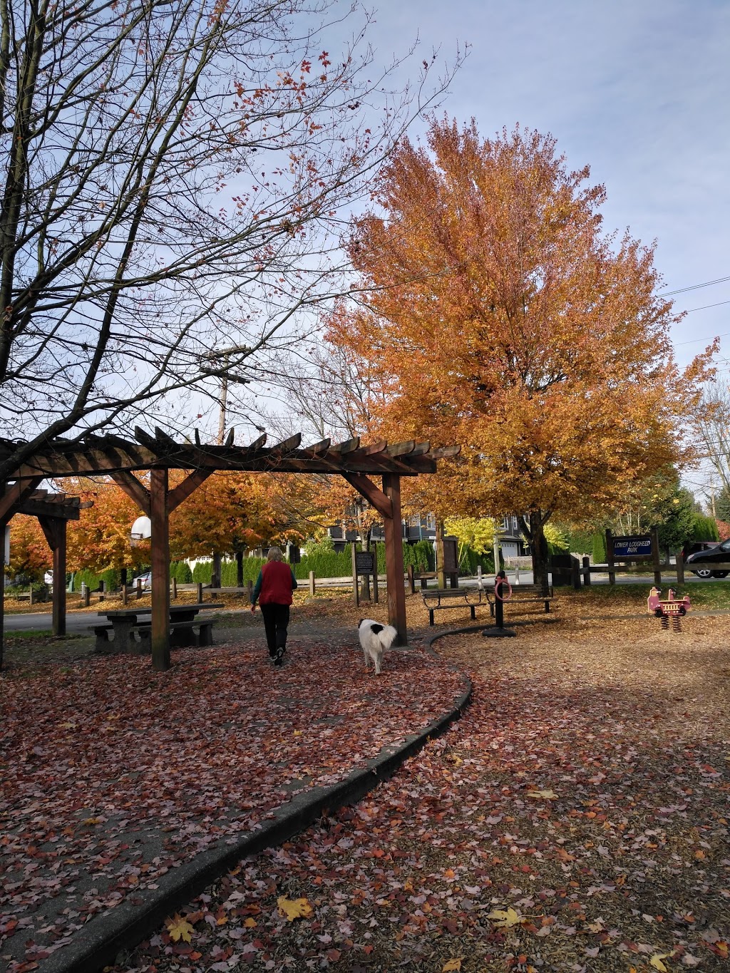 Lower Lougheed Park | 576 Alderson Ave, Coquitlam, BC V3K 1T4, Canada | Phone: (604) 927-3000