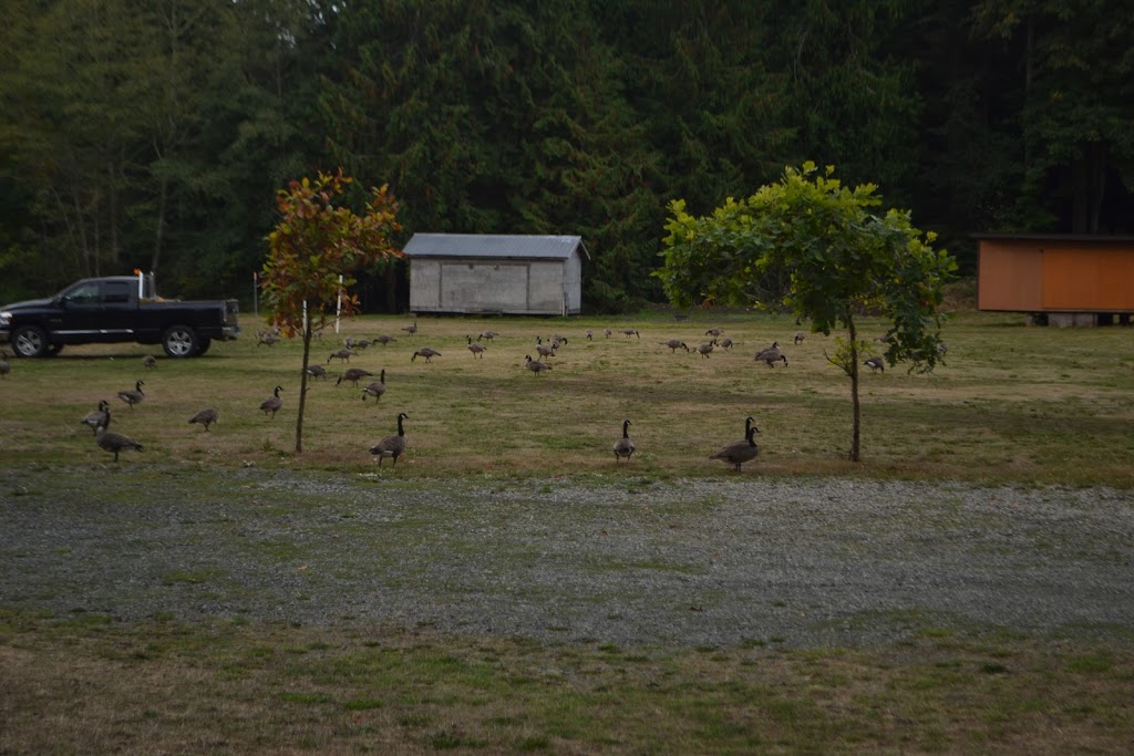 Sooke River Campsite | 2259 Phillips Rd, Sooke, BC V9Z 0Y3, Canada | Phone: (250) 642-6076