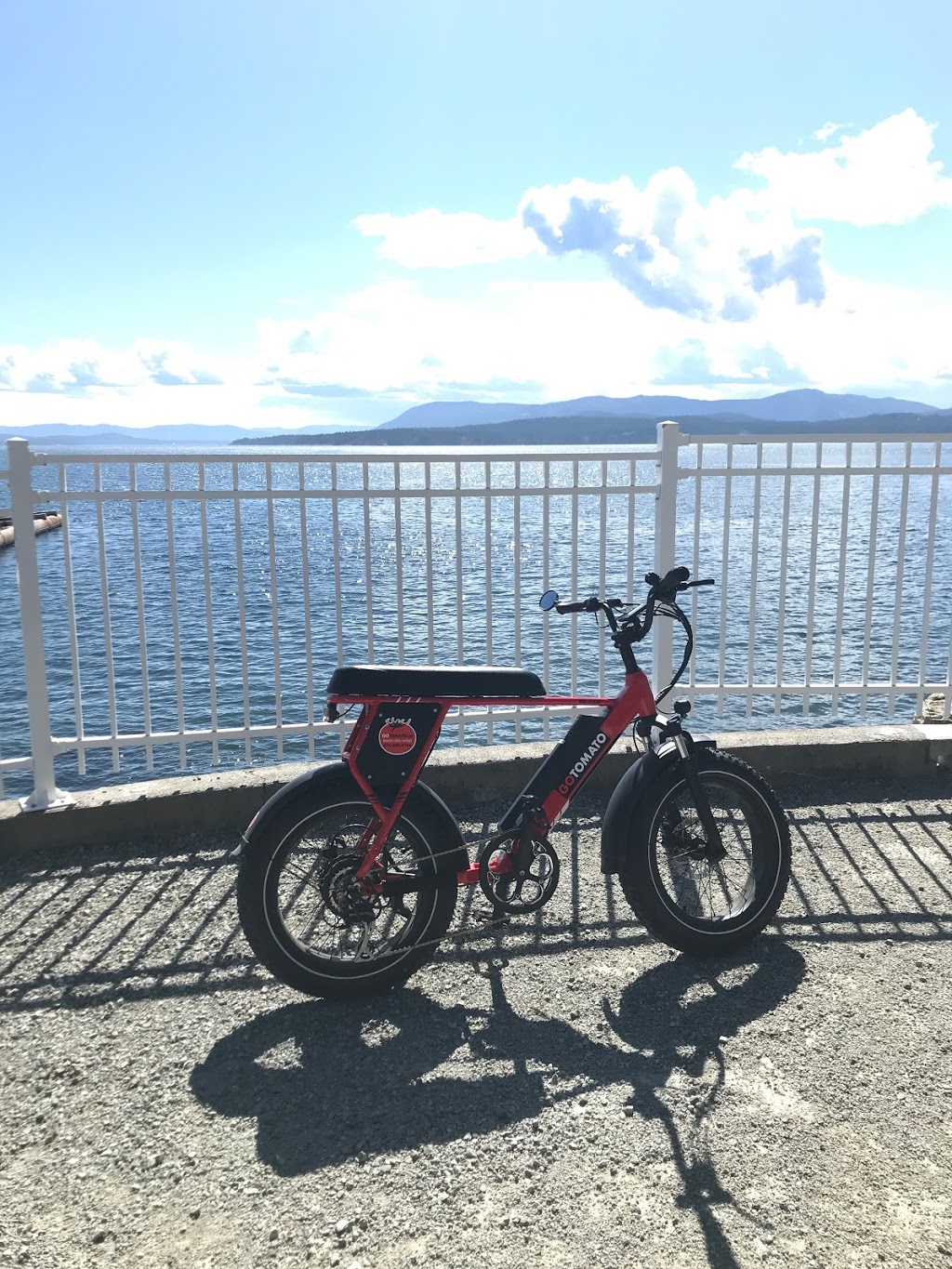 GoTomato.ca | 455 Dixon Rd, Mayne Island, BC V0N 2J2, Canada | Phone: (672) 882-9766