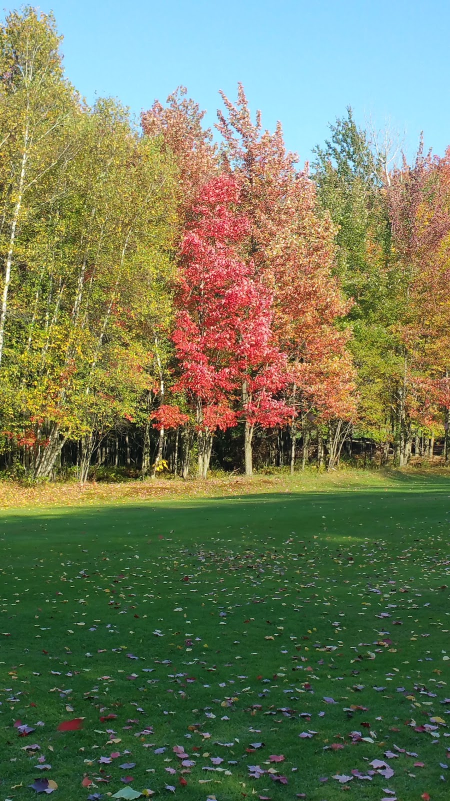 Club De Golf Saint-Simon | 1786 Rang Saint-Édouard, Saint-Simon-de-Bagot, QC J0H 1Y0, Canada | Phone: (450) 798-2477