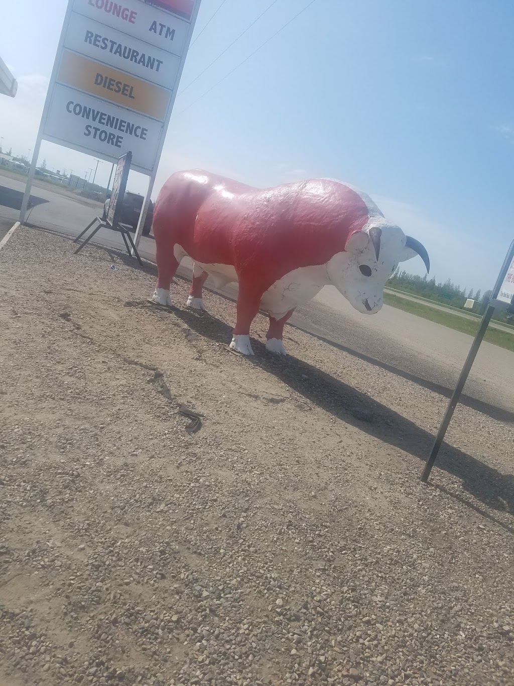 Gas Plus Radisson Red Bull # 999 | Trans-Canada Hwy, Radisson, SK S0K 3L0, Canada | Phone: (306) 827-4417