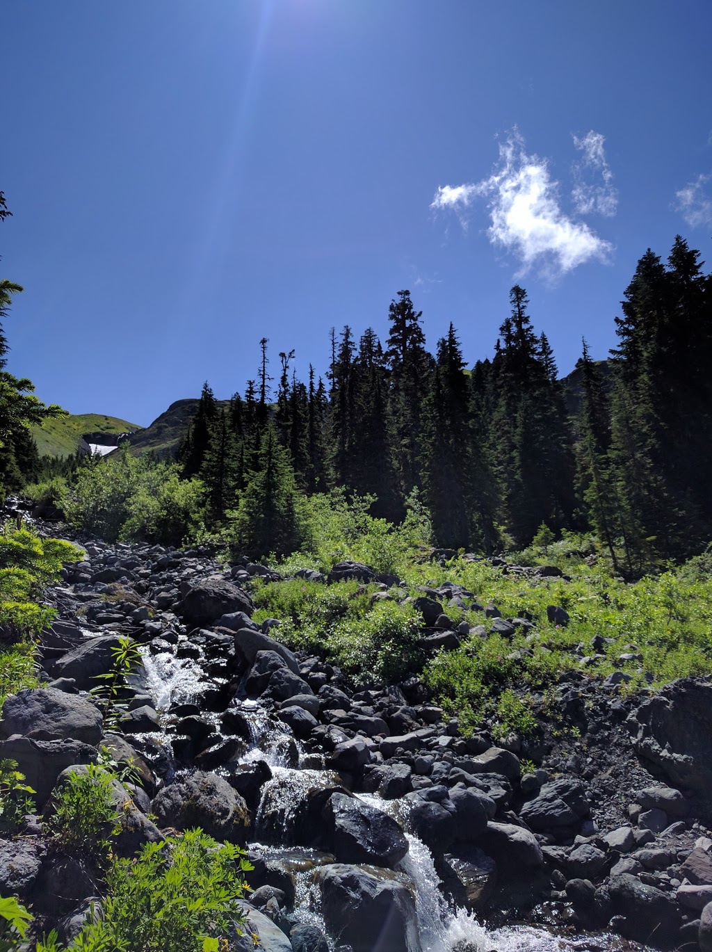 Heliotrope Ridge Trailhead | Deming, WA 98244, USA | Phone: (360) 856-5700