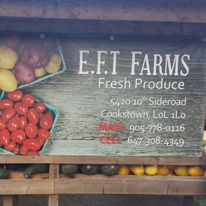 E.F.T. Farms | 5420 10 Sideroad, Cookstown, ON L0L 1L0, Canada | Phone: (647) 308-4349