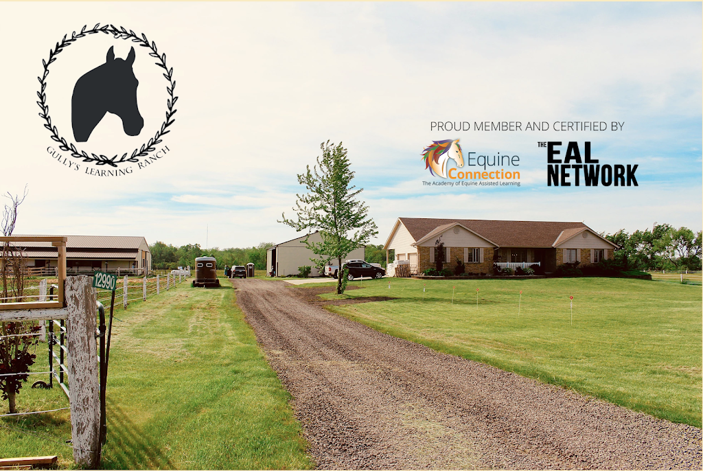 Gullys Learning Ranch | 12990 Green Line, Ridgetown, ON N0P 2C0, Canada | Phone: (519) 784-6625