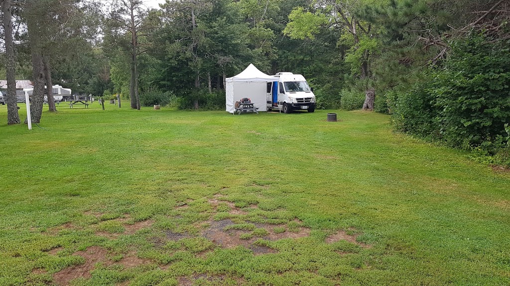 Stonehurst Golf Course & Park | 47915 Homestead Rd, Berry Mills, NB E1G 3S5, Canada | Phone: (506) 852-4162