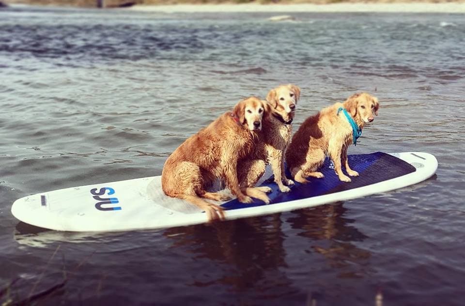 Mountain Wave Adventures | 3965 Hammer Dr, Bellingham, WA 98226, USA | Phone: (360) 319-4012