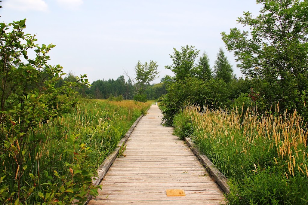 Minden Boardwalk | Minden, ON K0M 2K0, Canada | Phone: (705) 286-1260