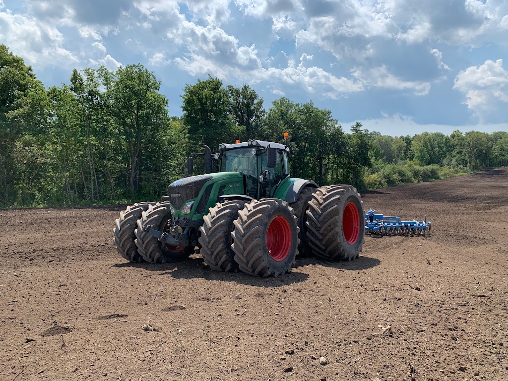 Haybury Farms Inc | 65 Concession #9, Jarvis, ON N0A 1J0, Canada | Phone: (905) 906-4431