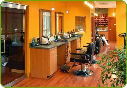 Dannys salon and spa | 341 Main St N, Brampton, ON L6X 1N6, Canada | Phone: (905) 487-1860