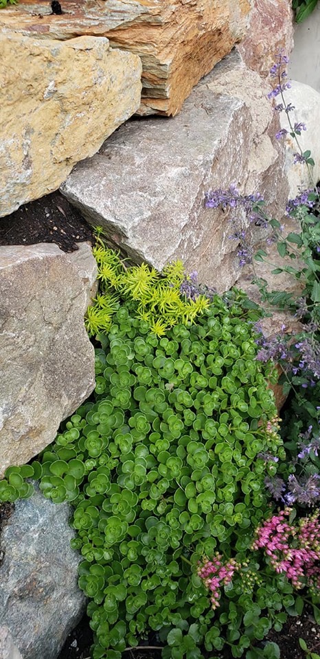 Coastal Urban Gardens | 8305 Rainbow Dr, Whistler, BC V8E 0G1, Canada | Phone: (604) 966-7384