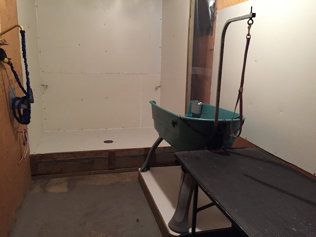 Dirty Paws Dog Spa | 9327 Cooper Hill Rd, Edwards, ON K0A 1V0, Canada | Phone: (613) 862-9748