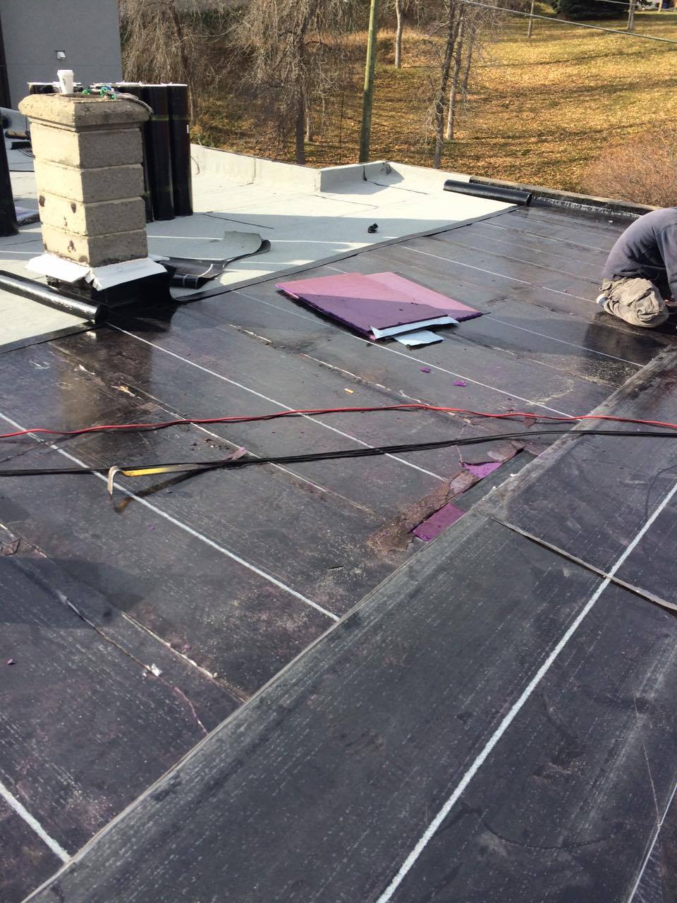 Albany Roofing Ltd | 2219 30 St SW, Calgary, AB T3E 2L7, Canada | Phone: (403) 923-2065
