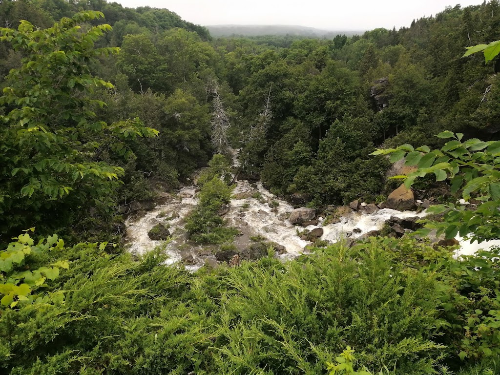 Inglis Falls Conservation Area | 237785 Inglis Falls Rd, Owen Sound, ON N4K 5N6, Canada | Phone: (519) 376-3076