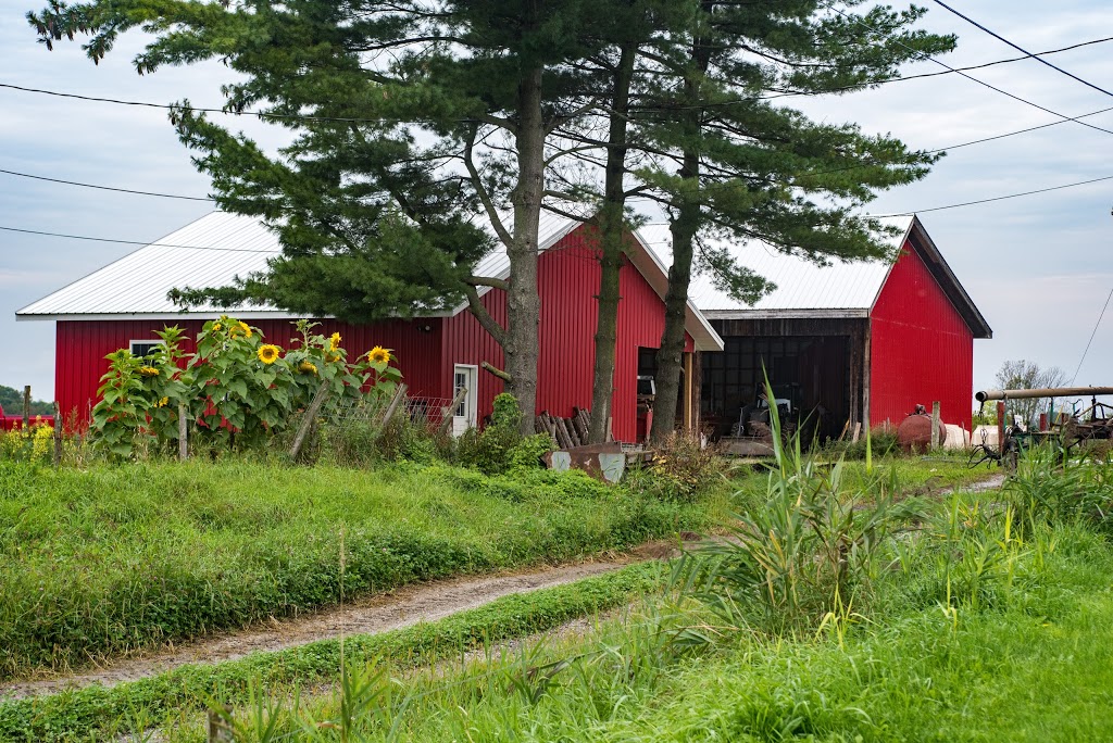 Carman Brook Farm, LLC | 1275 Fortin Rd, Swanton, VT 05488, USA | Phone: (802) 868-2347