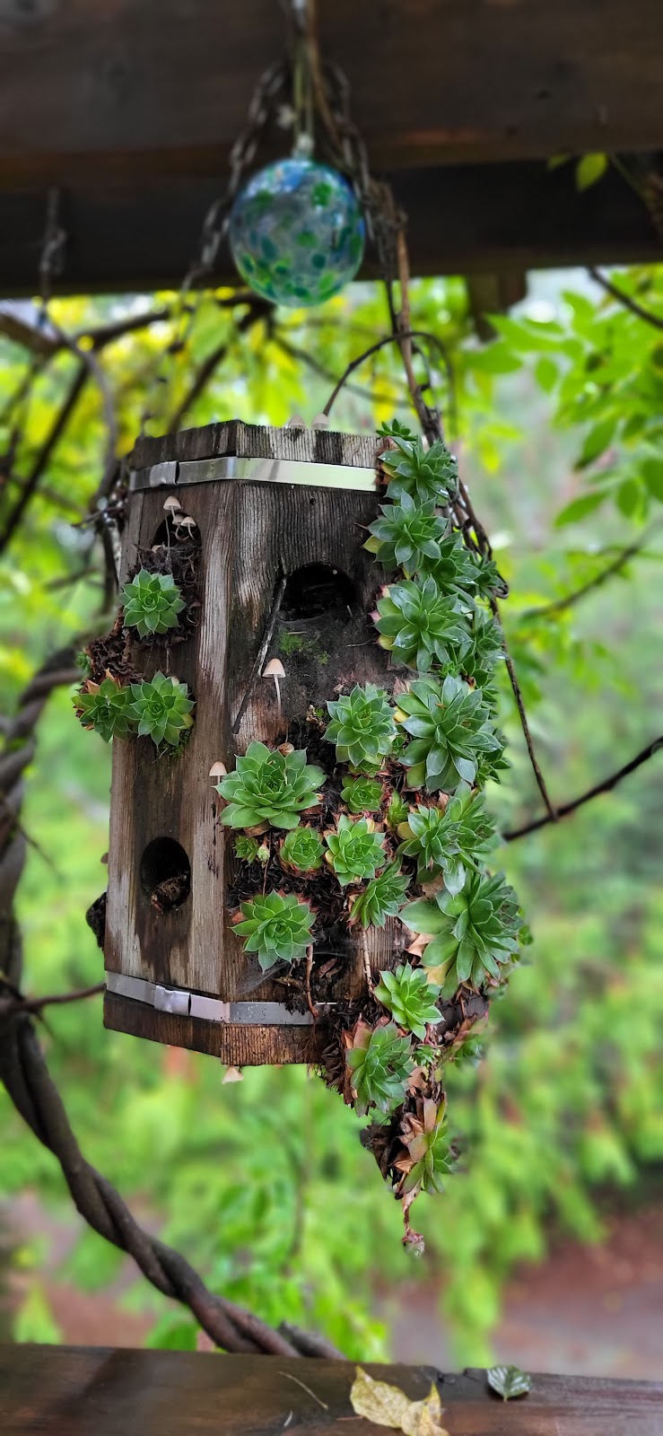 Beaver Hut Bed And Breakfast | 8188 Sheila Way, Port Alberni, BC V9Y 9E4, Canada | Phone: (250) 723-8941