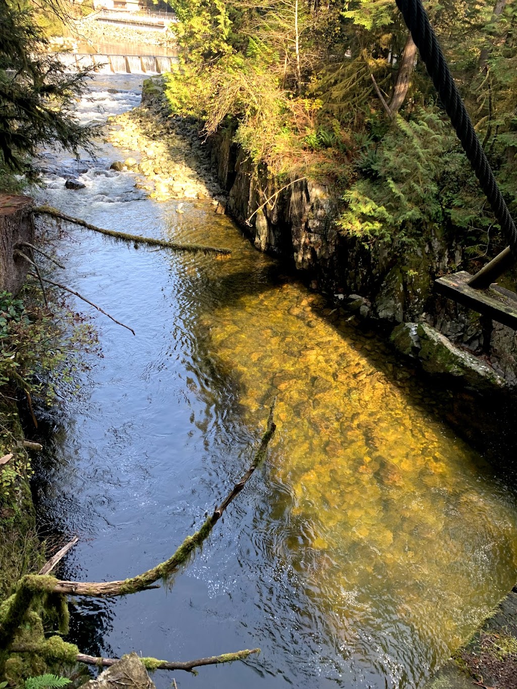 Canada Fisheries & Oceans | 4500 Capilano Park Rd, North Vancouver, BC V7R 4L3, Canada | Phone: (604) 666-1790