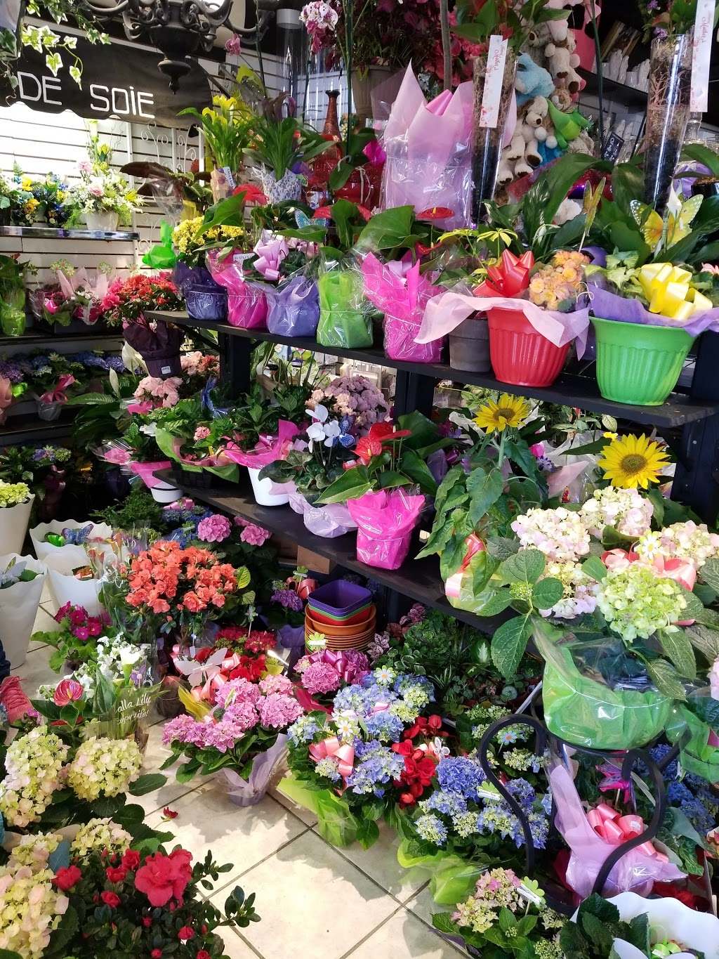 Fleuriste Coin St-Pierre - Fleuriste Coin Vert | 4 Avenue Saint-Pierre, Lachine, QC H8R 1N7, Canada | Phone: (514) 366-0004