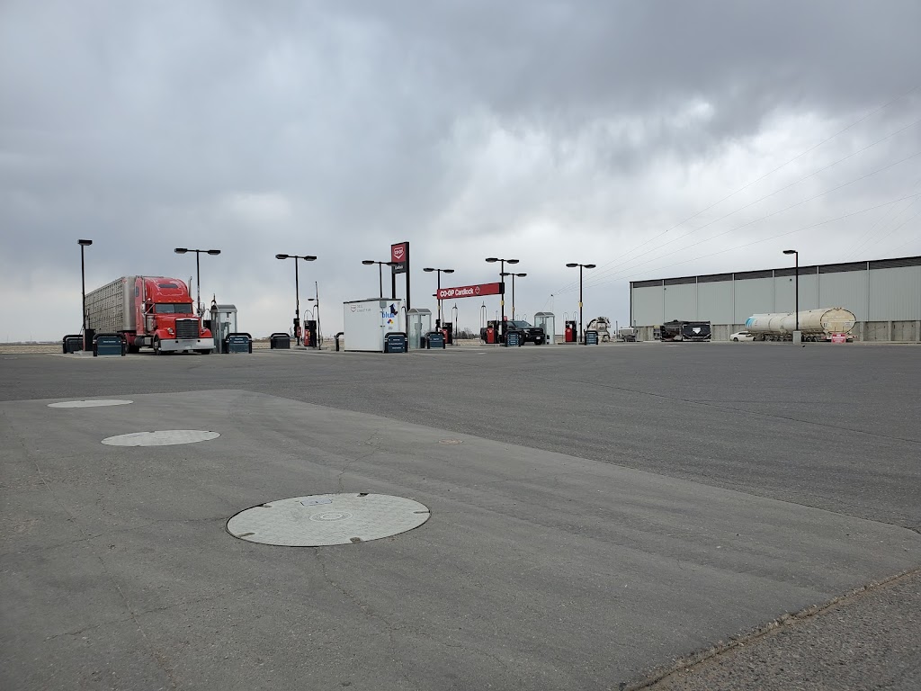 Co-op Cardlock | 203 Factory Dr, Picture Butte, AB T0K 1V0, Canada | Phone: (403) 654-2137