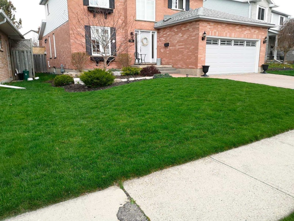 Home Service Solutions | 20 Grand Ave, Kitchener, ON N2K 1B3, Canada | Phone: (226) 799-2494