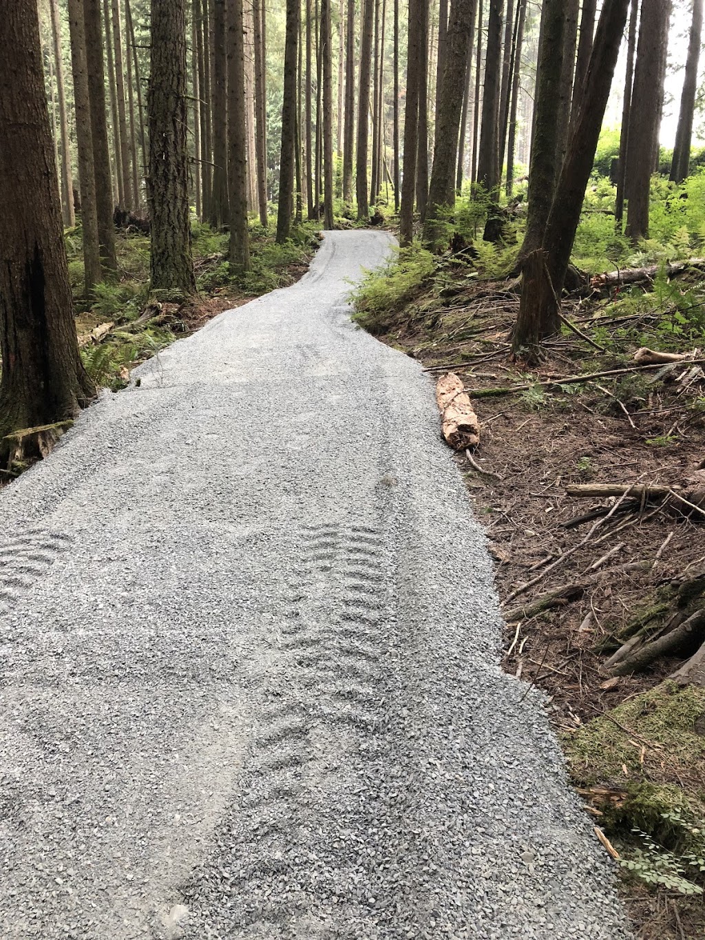 GLE Green Landscape Experts Ltd | 5727 256 St, Langley City, BC V4W 1H2, Canada | Phone: (604) 625-5010