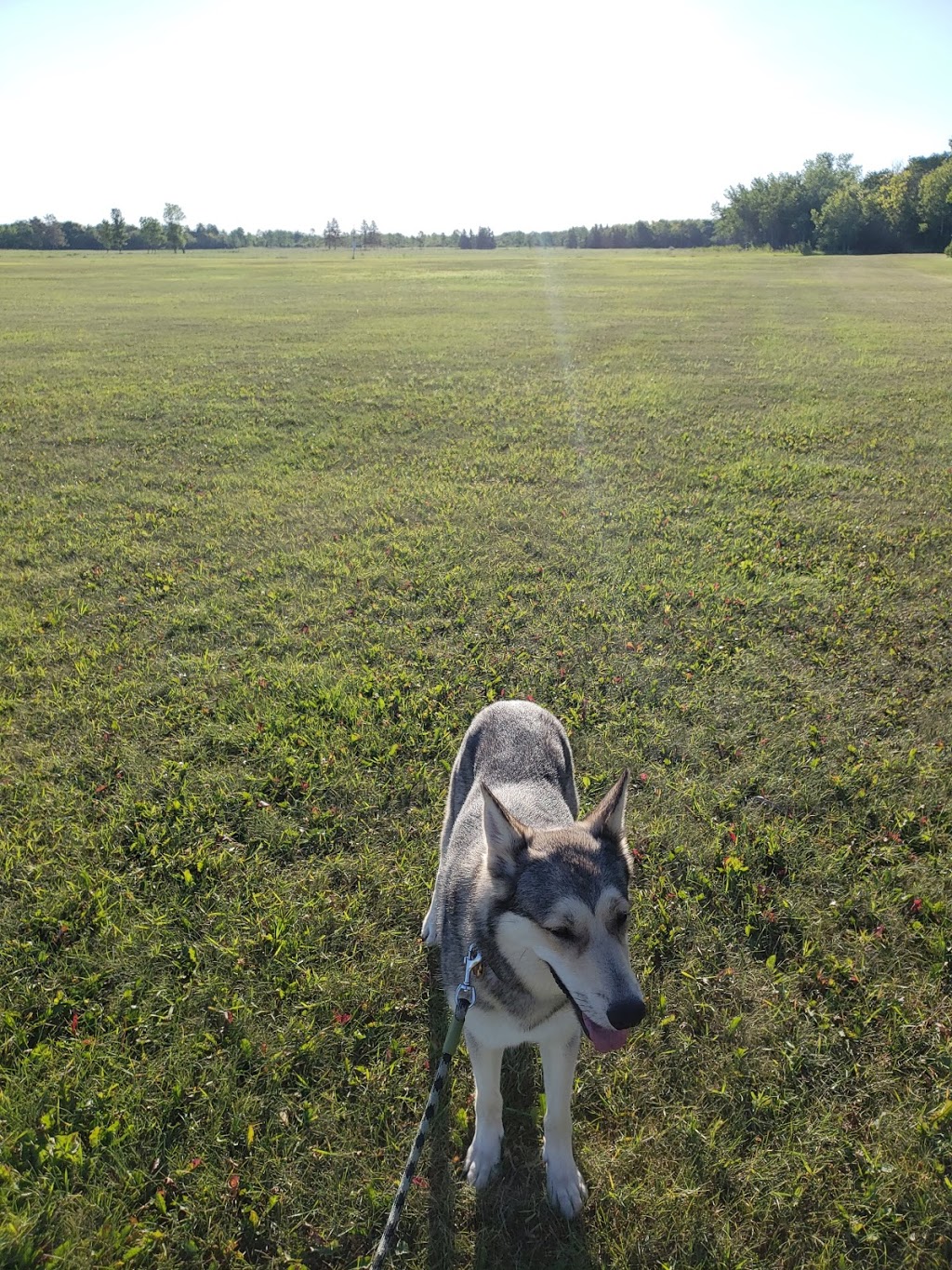 Little Mountain Park | Farmer Avenue, Stony Mountain, MB R0C 3A0, Canada