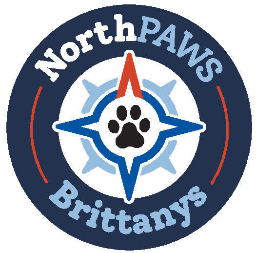 Northpaws Brittanys | 156 Mountain Lake Dr, Wiarton, ON N0H 2T0, Canada | Phone: (519) 897-0603