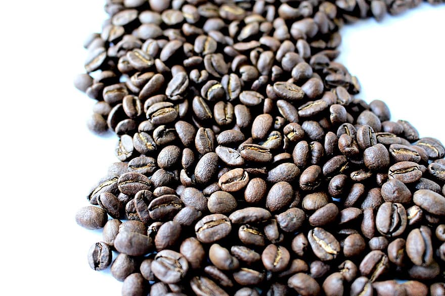 Green Coffee Co. | 4836 45a St, Lacombe, AB T4L 2C9, Canada | Phone: (403) 782-7803